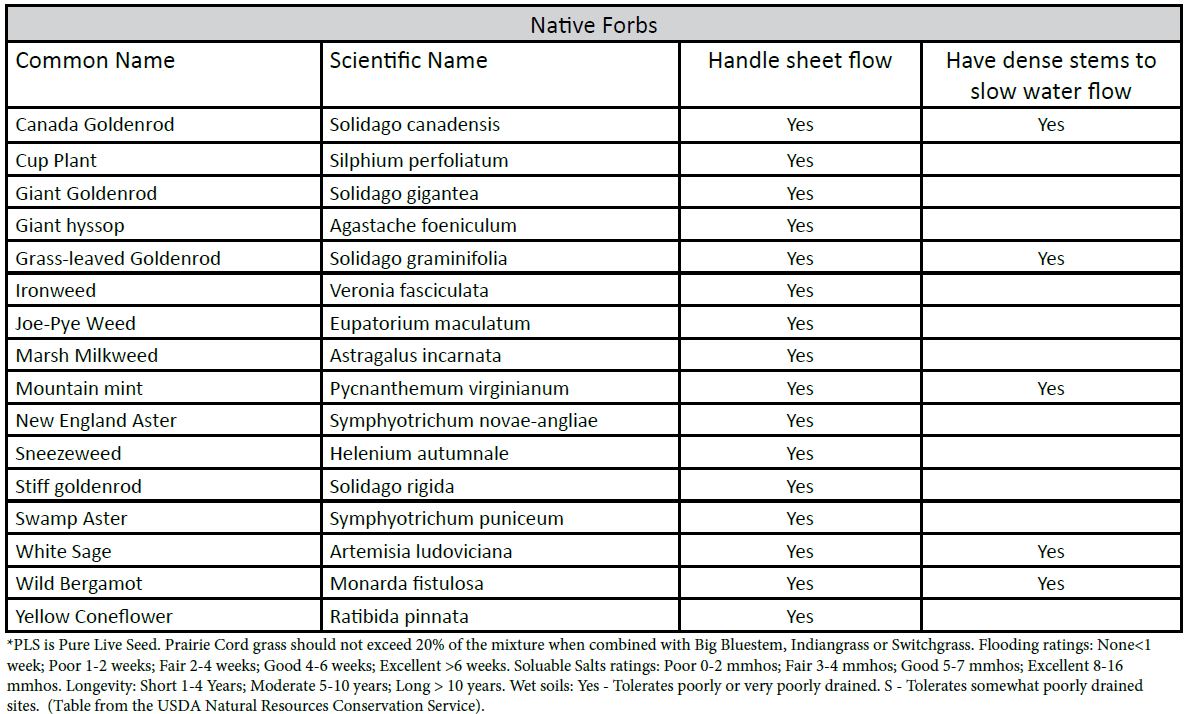 table of forbe species recommended for buffers