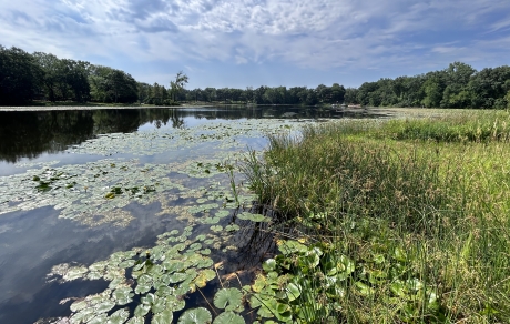 Blue sky and clouds reflect in a lake with lily pads. Trees mark the distant horizon.