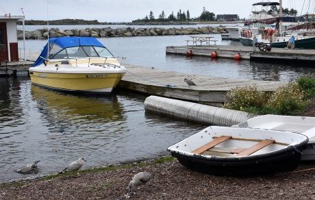 small boats on shore and tied to docks