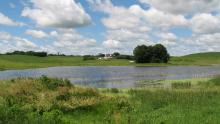 Wetlands Restored