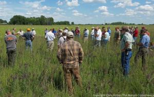 Vegetation Establishment and Maintenance Prairie Establishment Invasive Plant Management