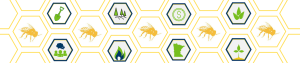 Pollinator banner