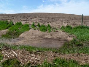 water erosion at edge of farm field