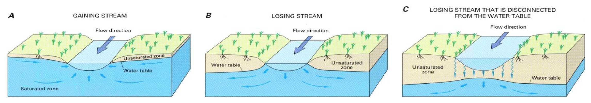 Streams can gain, lose or be disconnected from groundwater