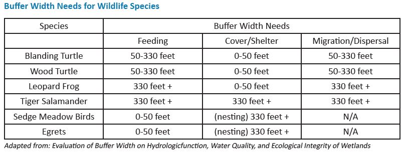 table of buffer width needs for wildlife